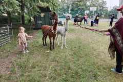Messenger_creation_63490ffa-1170-47a7-844d-7007a531c799