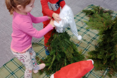 IMG_20241210_110933