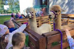 553302018_1209244281223287_7636547732051375781_n