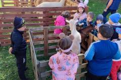 554204698_1209244047889977_1650200344590838335_n