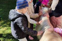 555371883_1209243894556659_538181455675510079_n