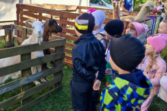 555425655_1209247051223010_468131743131523461_n