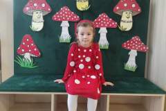 FB_IMG_1732535856505
