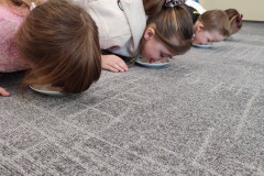 637097481_1328474292633618_6329010441270276029_n