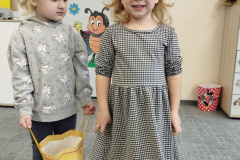 IMG_20241108_100301