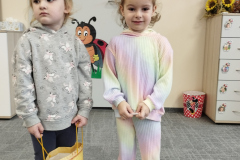 IMG_20241108_100611
