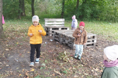 IMG_20241007_095928
