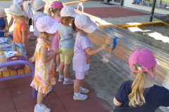 IMG_20240527_100948