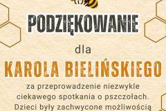 Gold and Orange Illustrative Happy World Bee Day Poster - 1