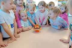 IMG_20241105_103111