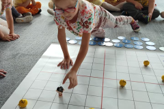 386601681_711746254306428_7828781288221750451_n