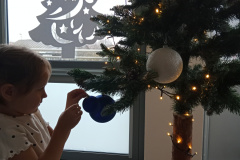 IMG_20241204_111202