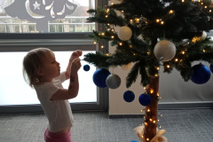 IMG_20241204_111442