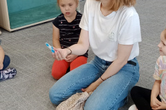 IMG_20250610_090327