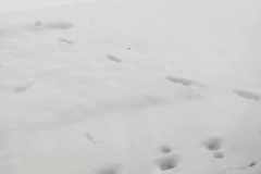370090219_753059413395588_6655872889778933774_n