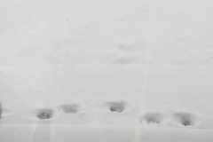403403535_1083523376155310_4783504949686560469_n
